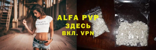 стафф Надым