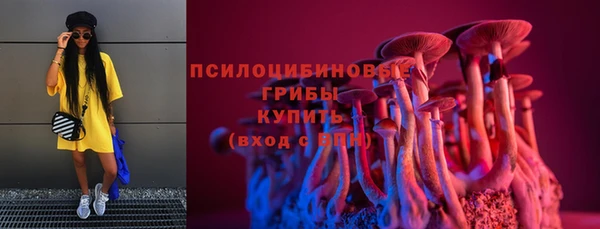 стафф Надым