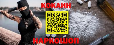 спайс Кингисепп