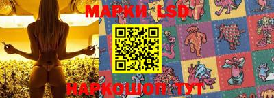 спайс Кингисепп