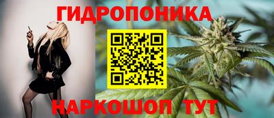 сатива Кинель