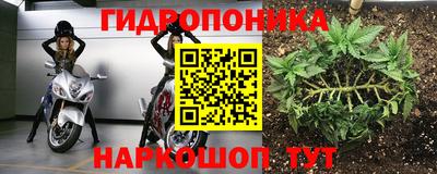 сатива Кинель