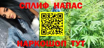 спайс Кингисепп