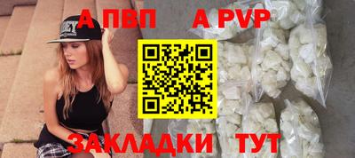 спайс Кингисепп
