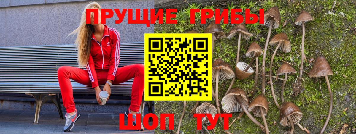 Псилоцибиновые грибы мицелий  Обь 