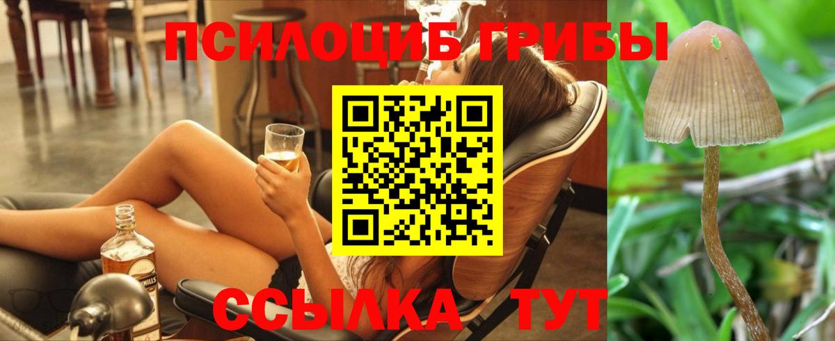 Галлюциногенные грибы мухоморы Обь